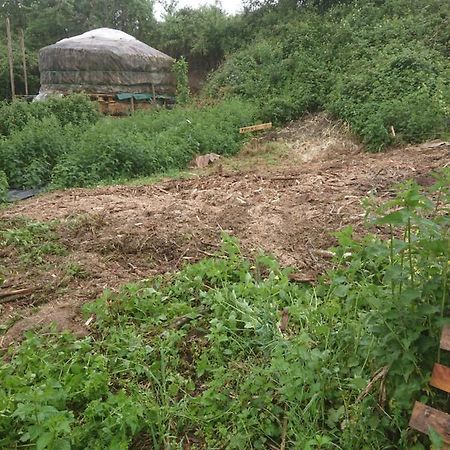 Creysse  Yourte Rustique En Permaculture מראה חיצוני תמונה